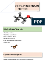 4. Siklus Krebs, Pencernaan Protein_9410006a2e30df1214c85b702a583ede