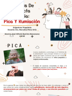 Trastornos Pica y Rumiación - Gael A. Bautista Manzanarez