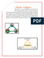 2 Triada Ecológica