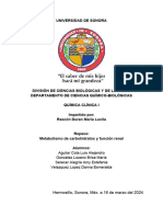 Repaso - Metabolismo de Carbohidratos y Función Renal