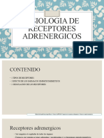 Fisiologia de Receptores Adrenergicos