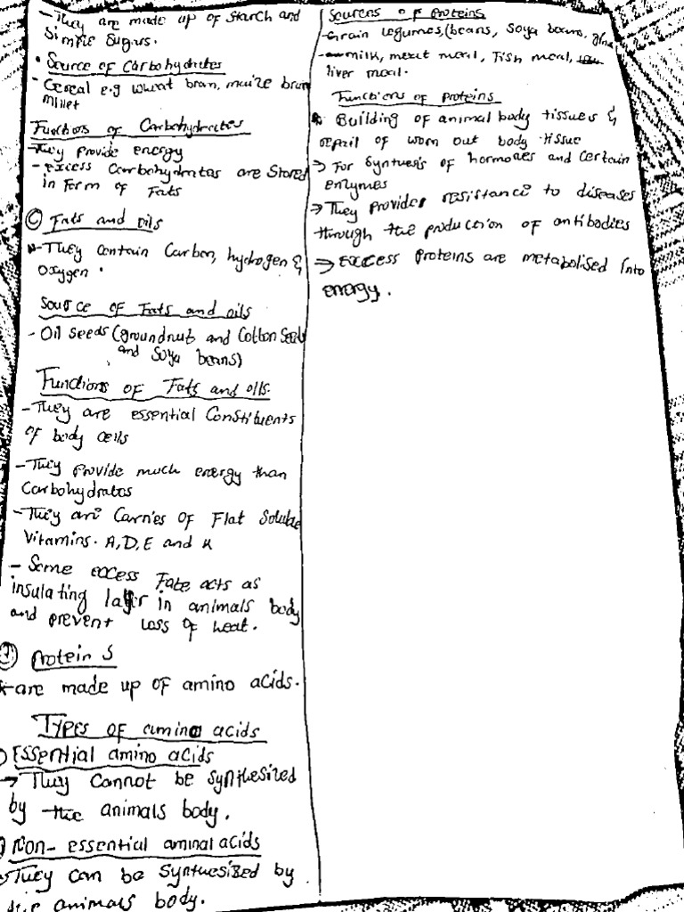 Livestock visual data 6