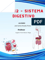 Foro 12 - Sistema Digestivo