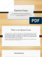 Opinion Essay