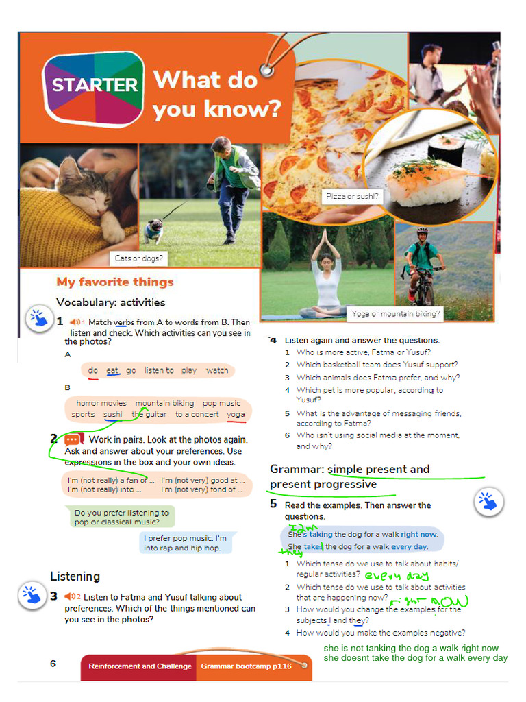 Daily Activities and Preferences Summary | PDF
