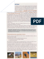 Documento de Apoio 11ano, 1P Web