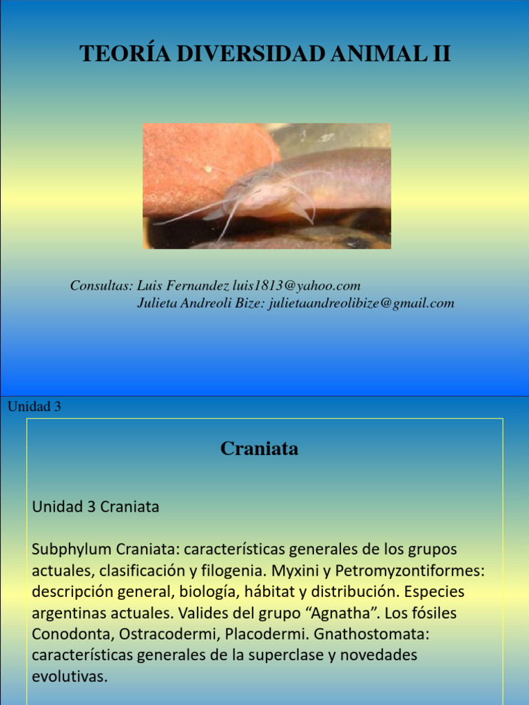 Características y Clasificación de Craniata | PDF | Vertebrados