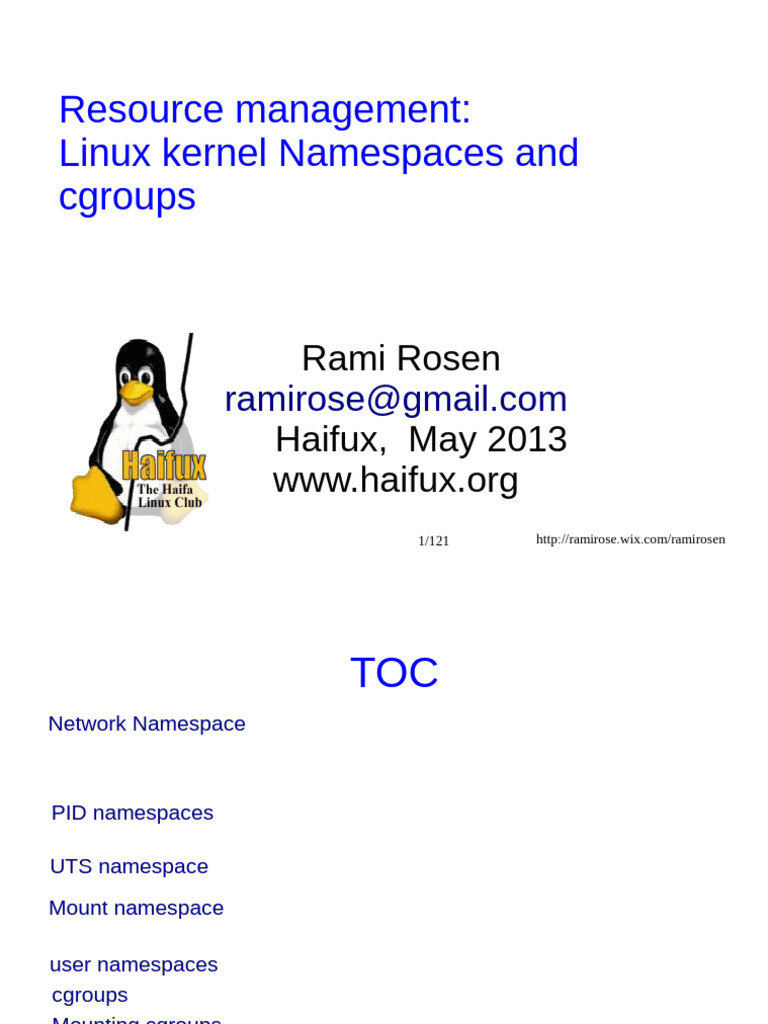 Linux Namespaces and Resource Management | PDF | Network Socket ...