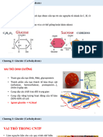 Chuong 3 Glucid