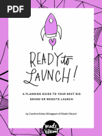 Ready To Launch Mini-Guide