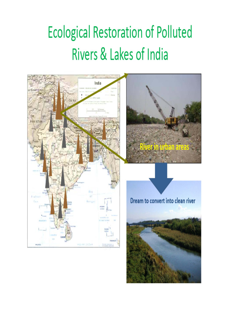 Ecological | PDF | Water Pollution | Water