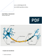 Aula 1 - Sistema nervoso