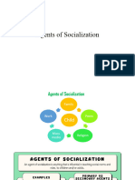 Agents of Socialization