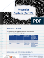 Musculo System Part 2