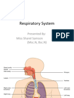 Anatomy (Respiratory)