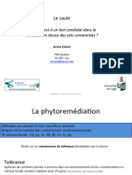 Phytoremédiation,+Aricia+Evlard