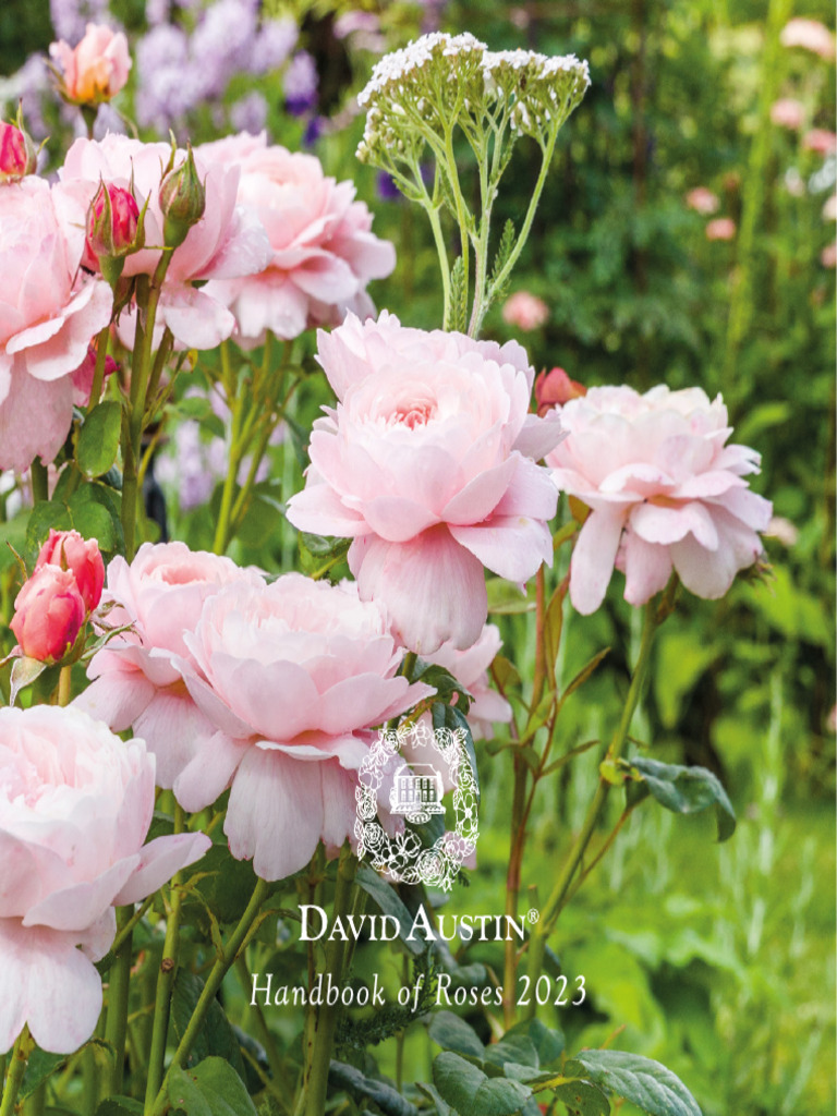 EU HandbookofRoses 23 Final | PDF | Rose | Gardens