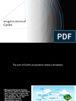 L4 Biogeochemical Cycles