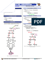 Carbohydrate Metabolism ?