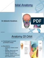 Orbitalanatomy 180809143653