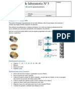 Informe de Laboratorio Nº3 GEO II FCEFYN