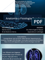 Anatomía y Fisiología Renal