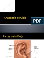 Anatomia de Oido