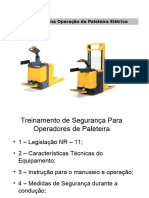 Treinamento PALETEIRA-1