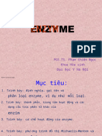 Enzymes - English-1 OK