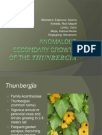 Anomalous Secondary Growth of The Thunbergia