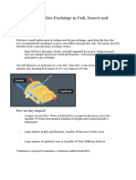 Gas Exchange in Insects, Plants and Fish Summary Sheets