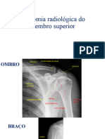Anatomia Radiol Gica Do Membro Superior