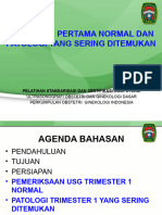 POGI, USG, 2014, FINAL, 8. Trimester 1 - Patologi Yg Sering Terjadi, 20140422 Versi Presentasi