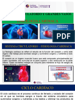 FISIOLOGIA CARDIACA- BASES DE LA ESTRUCTURA