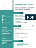 Curriculum Vitae