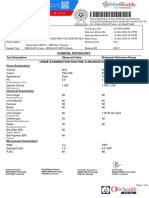 PHL B 919194302 PDF