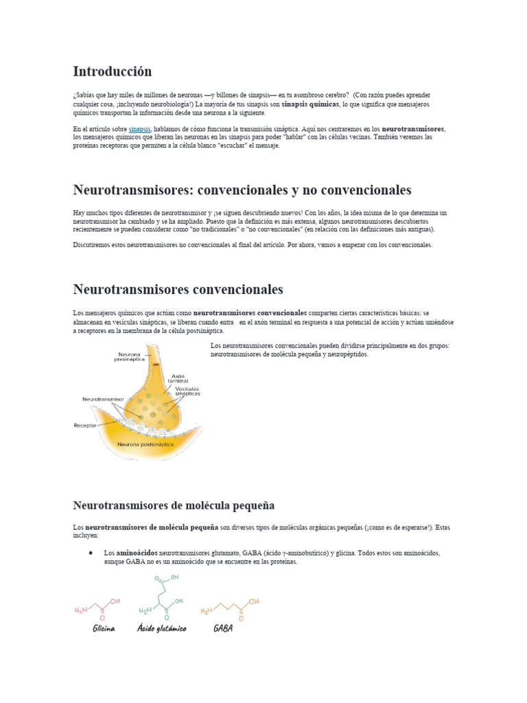 Neurotransmisores: Tipos y Funciones | PDF | Sinapsis | Neurotransmisor