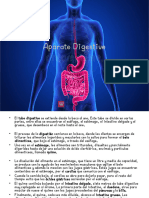 Tema 14 Sistema Digestivo