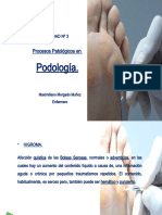 Unidad Nº3 Procesos Patologicos en Podologia - Clase 31-05-2014