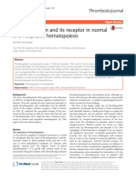 Thrombopoietin and Its Receptor in Normal and Neoplastic Hematopoiesis