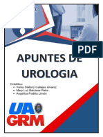 Apuntes Urologia. 2.0