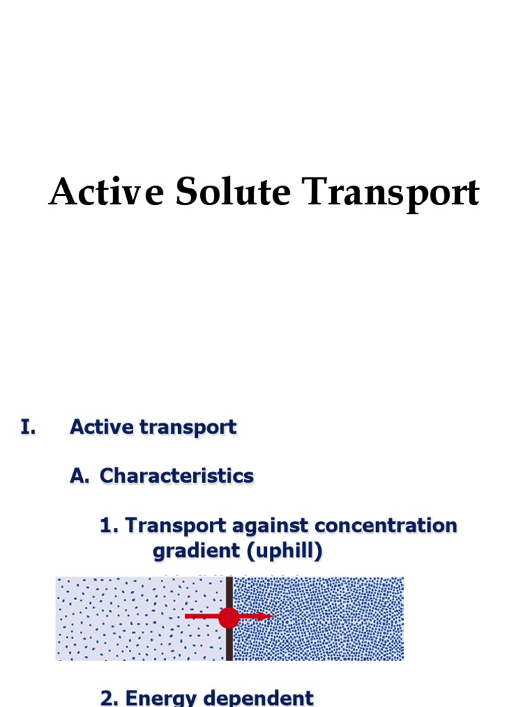 Understanding Active Solute Transport | PDF