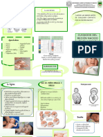 Triptico Charla Cuidados en El Recien Nacido - Compress