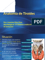 Anatomía de Tiroides