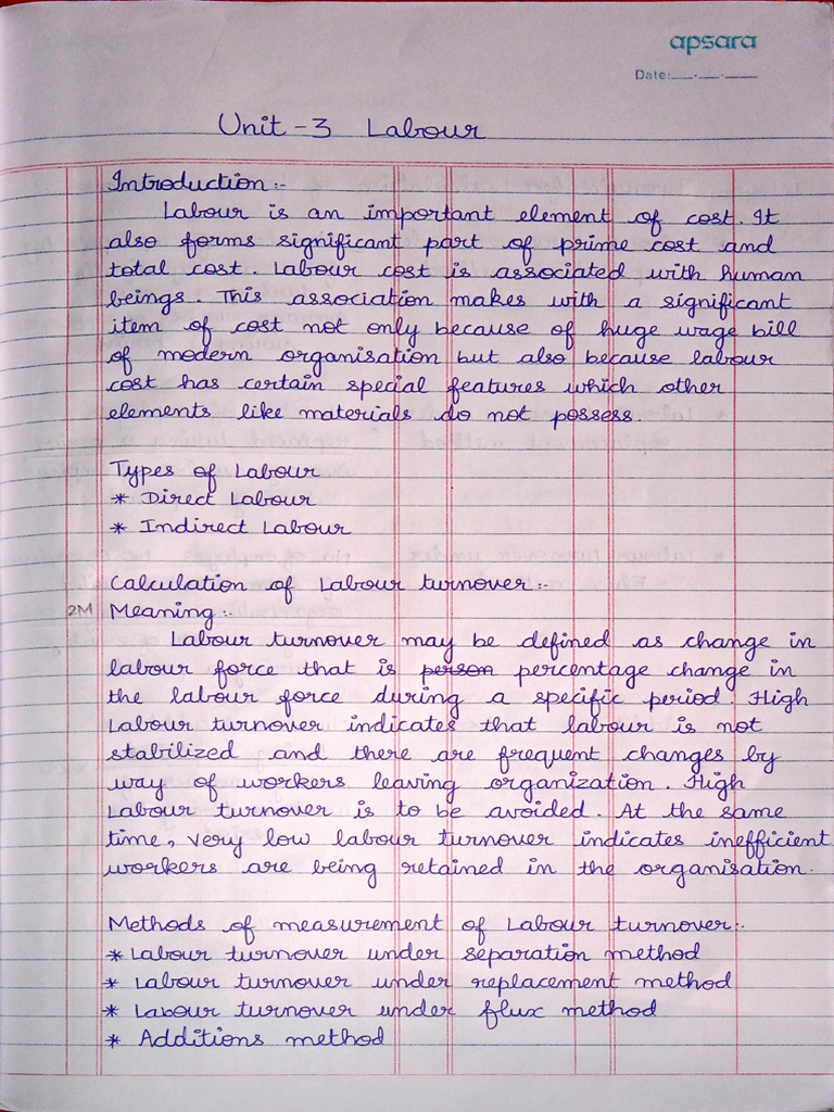 Unit 3 Labour Notes | PDF