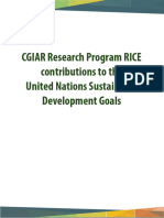 RICE and SDGs