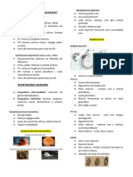 Resumo de Parasitologia (Nutrição)