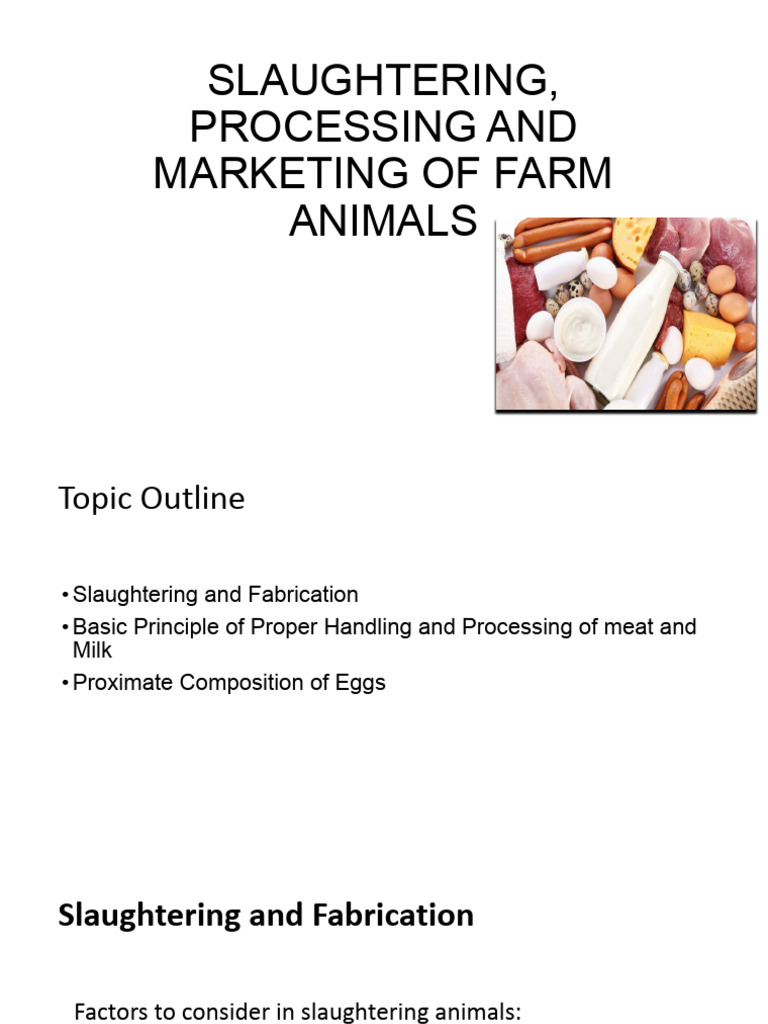 Slaughtering and Processing of Farm Animals | PDF | Meat | Milk
