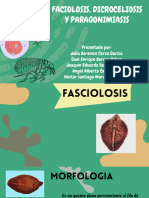 Fasiolosis, Microceliosis y Barra_compressed