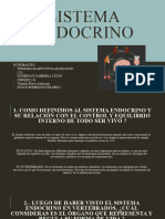 Sistema Endocrino